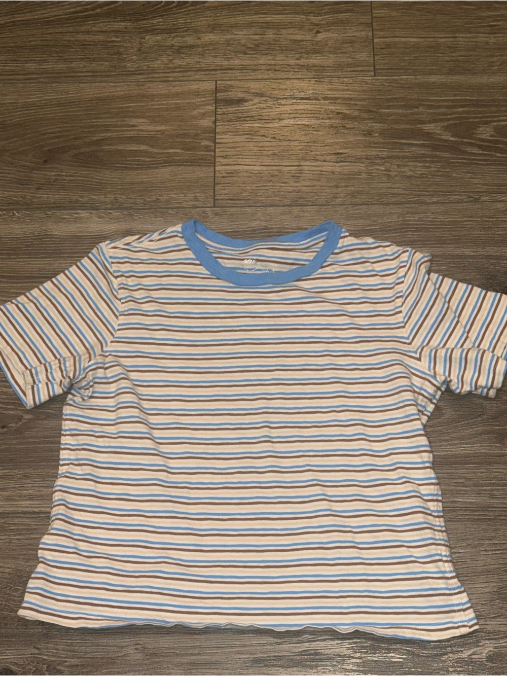aerie Blue, White & Tan Striped Ringer Tee